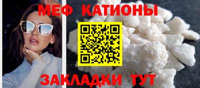сатива Кингисепп