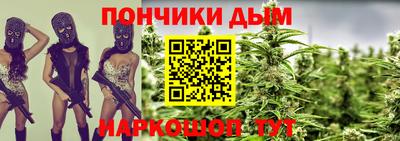 сатива Кингисепп