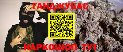 сатива Кингисепп