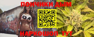 сатива Кингисепп