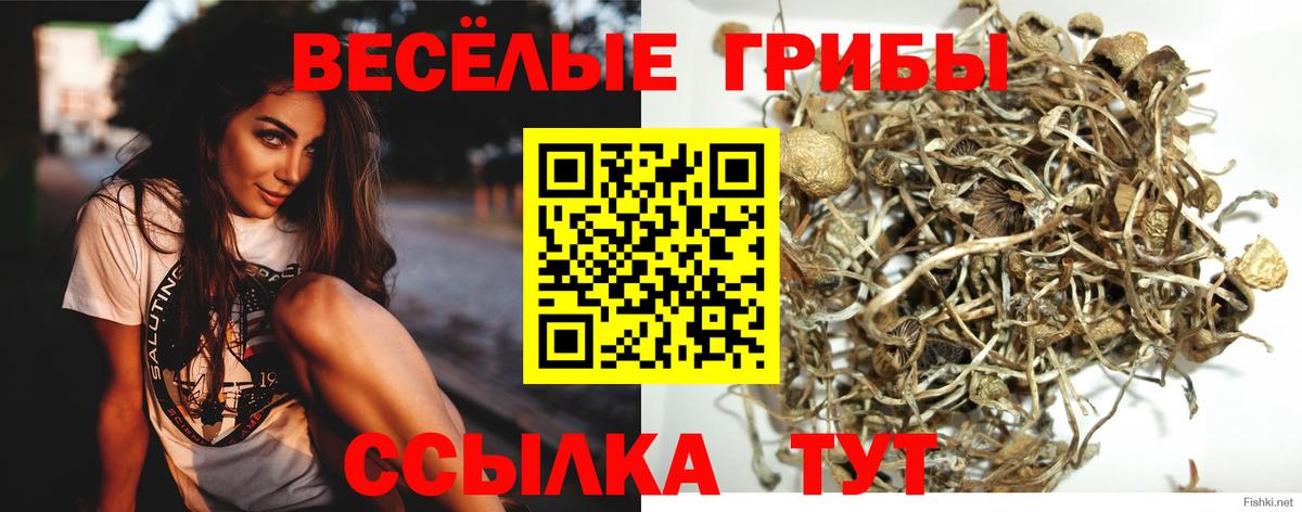 Ялуторовск  сколько стоит  Галлюциногенные грибы прущие грибы  Вход с VPN  Галлюциногенные грибы Cubensis 
